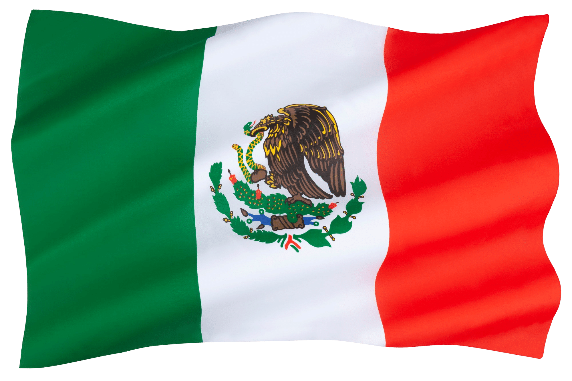 The flag of mexico waving in the wind.